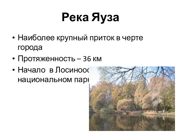 Река Яуза Наиболее крупный приток в черте города Протяженность –