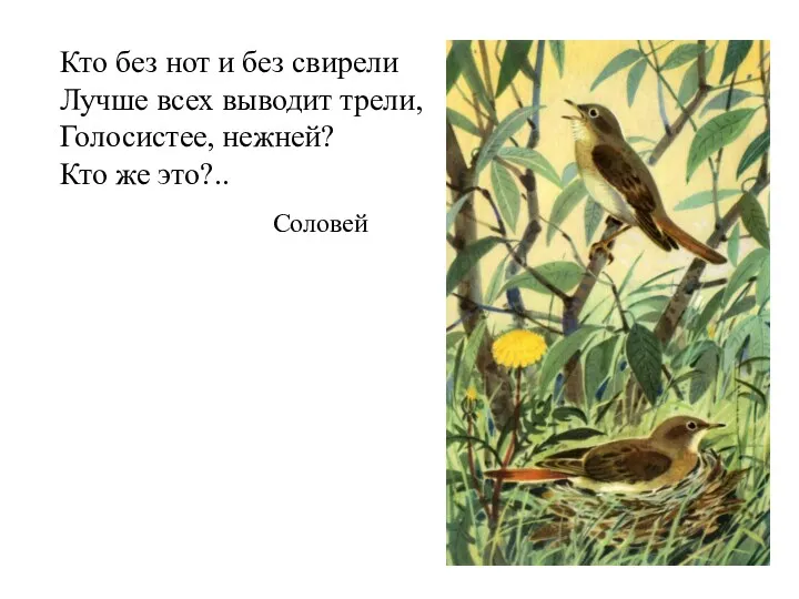 Кто без нот и без свирели Лучше всех выводит трели, Голосистее, нежней? Кто же это?.. Соловей