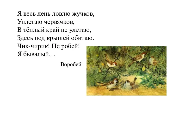 Я весь день ловлю жучков, Уплетаю червячков, В тёплый край