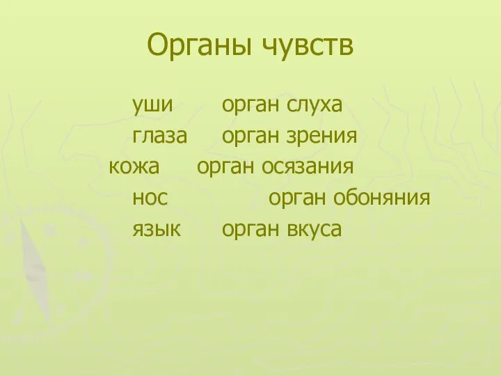 Органы чувств уши орган слуха глаза орган зрения кожа орган