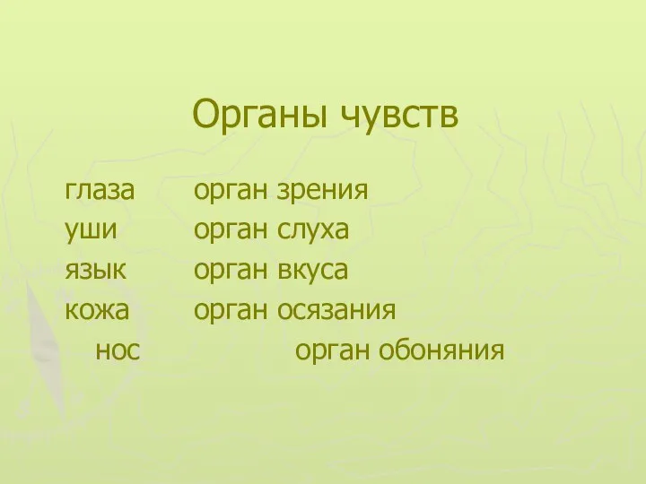 Органы чувств глаза орган зрения уши орган слуха язык орган