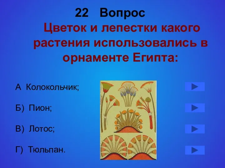 22 Вопрос Цветок и лепестки какого растения использовались в орнаменте Египта: А Колокольчик;