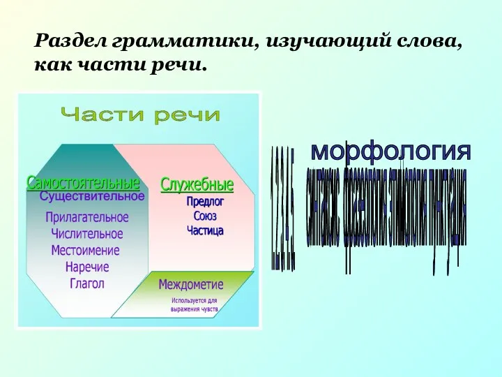 1. 2. 3. 4. 5. морфология Раздел грамматики, изучающий слова,