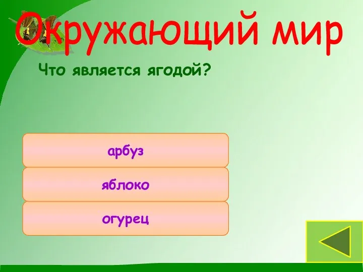 Что является ягодой? арбуз огурец яблоко Окружающий мир