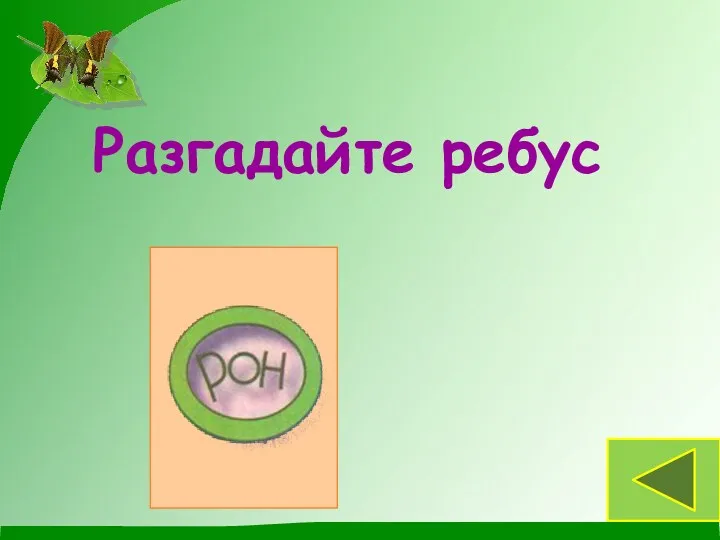 Разгадайте ребус ворон Животные