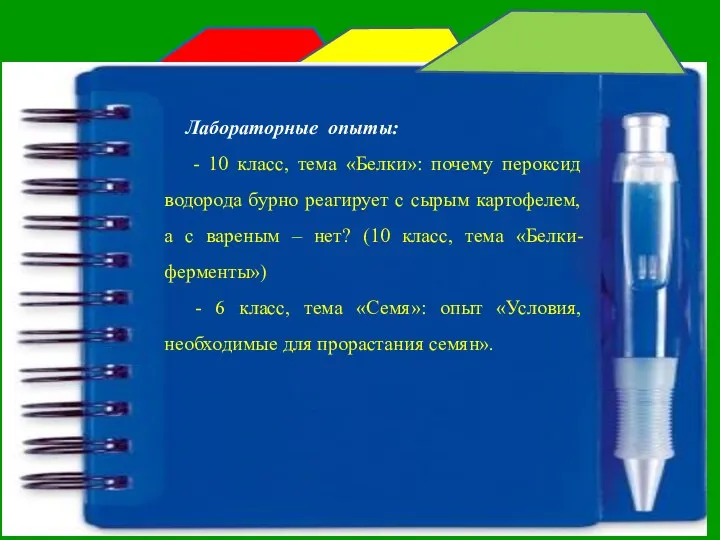 Лабораторные опыты: - 10 класс, тема «Белки»: почему пероксид водорода