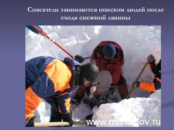 Спасатели занимаются поиском людей после схода снежной лавины
