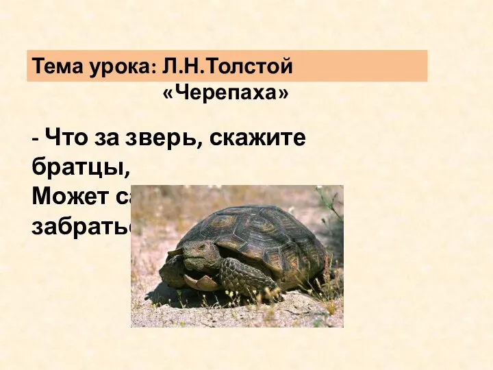 Тема урока: - Что за зверь, скажите братцы, Может сам в себя забраться? Л.Н.Толстой «Черепаха»