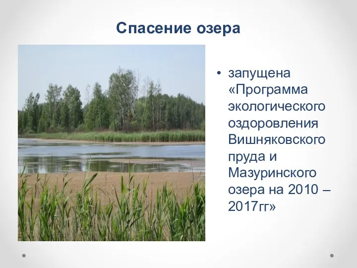 Спасение озера запущена «Программа экологического оздоровления Вишняковского пруда и Мазуринского озера на 2010 – 2017гг»
