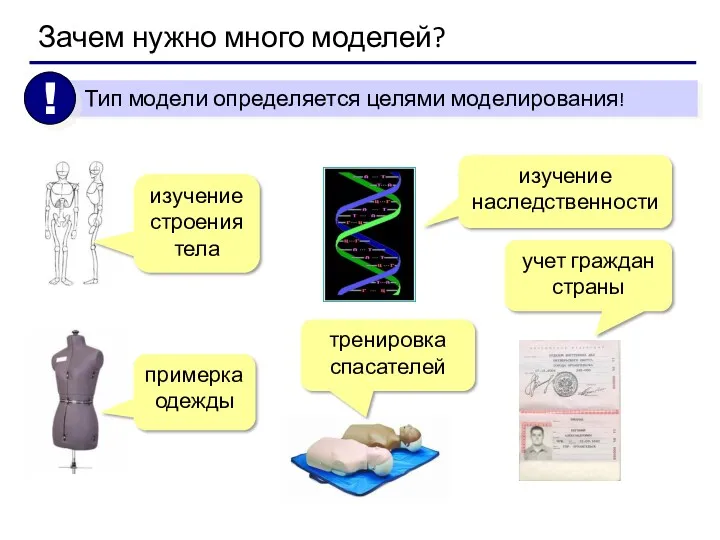 Зачем нужно много моделей? изучение строения тела примерка одежды изучение наследственности тренировка спасателей учет граждан страны