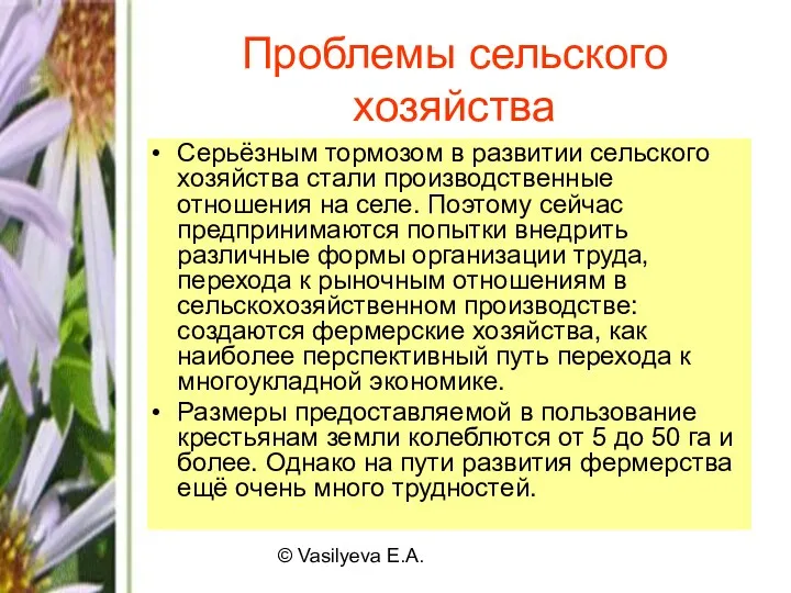 © Vasilyeva E.A. Проблемы сельского хозяйства Серьёзным тормозом в развитии