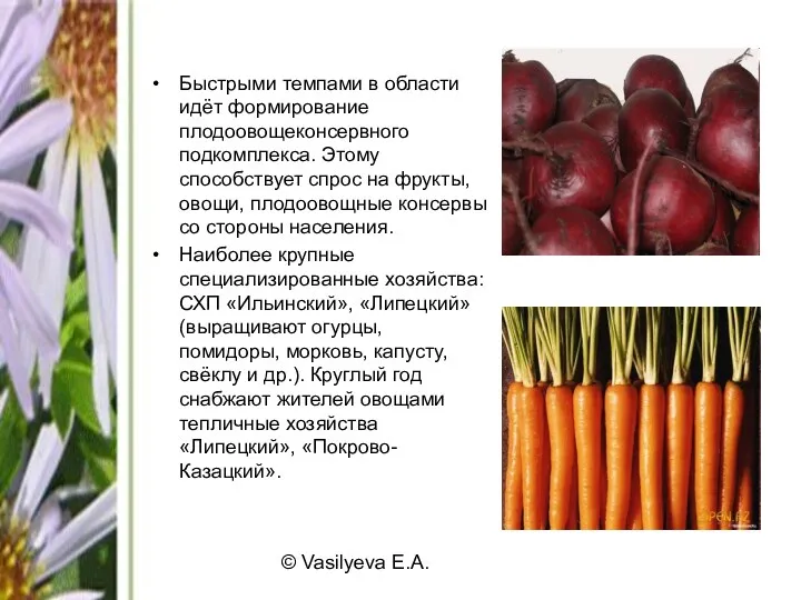 © Vasilyeva E.A. Быстрыми темпами в области идёт формирование плодоовощеконсервного