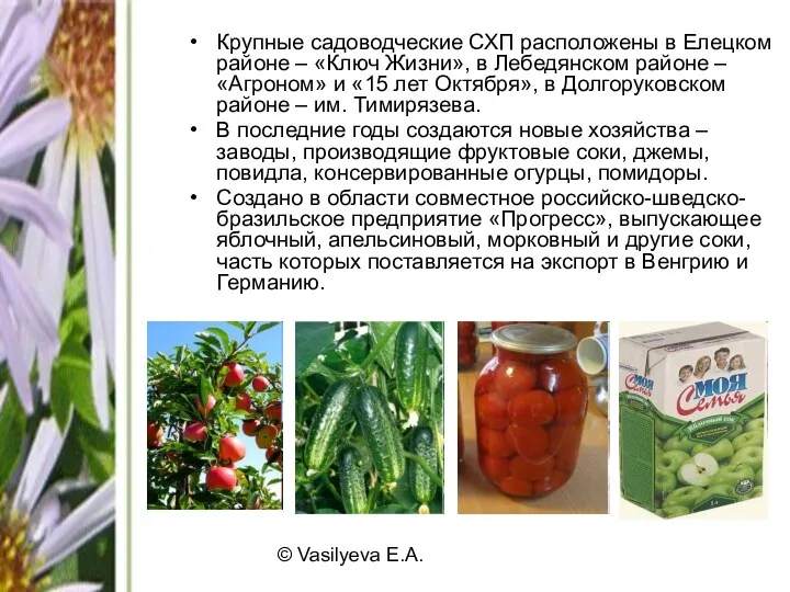 © Vasilyeva E.A. Крупные садоводческие СХП расположены в Елецком районе