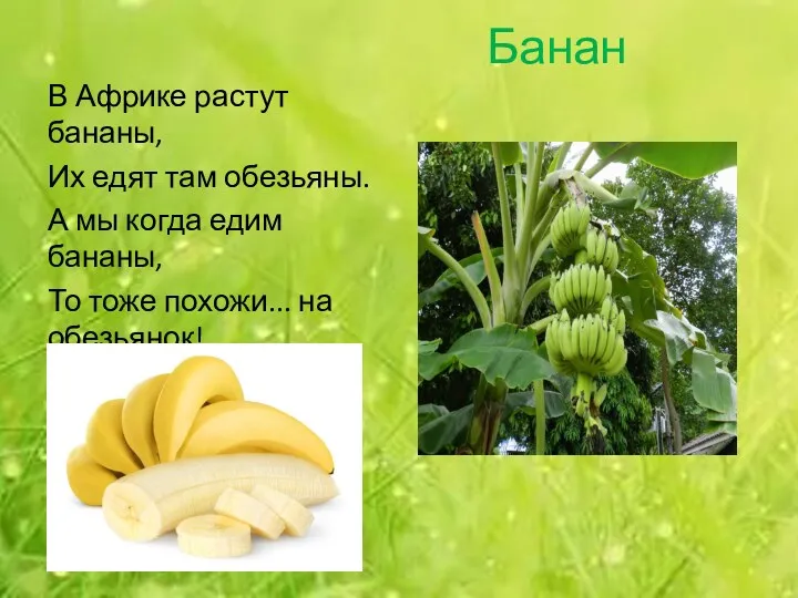 Банан В Африке растут бананы, Их едят там обезьяны. А