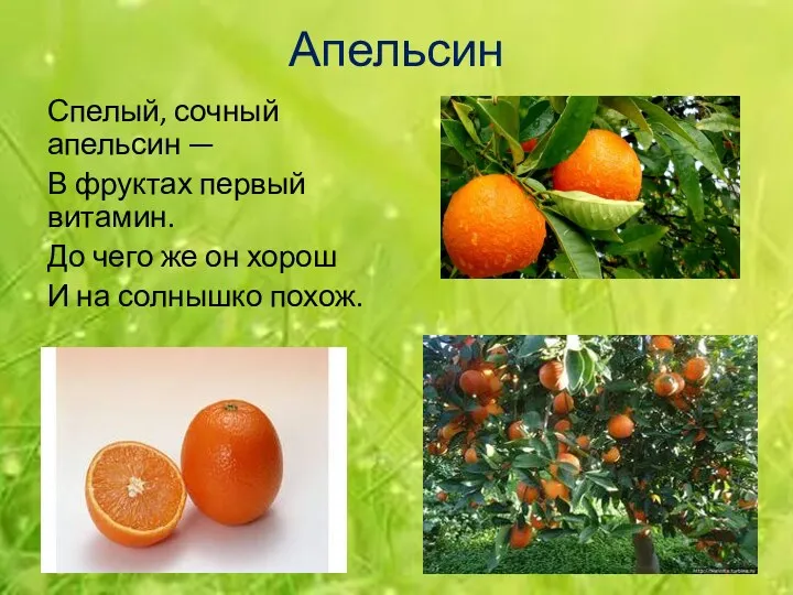 Апельсин Спелый, сочный апельсин — В фруктах первый витамин. До