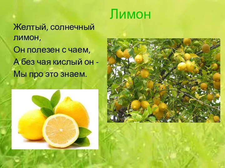 Лимон Желтый, солнечный лимон, Он полезен с чаем, А без