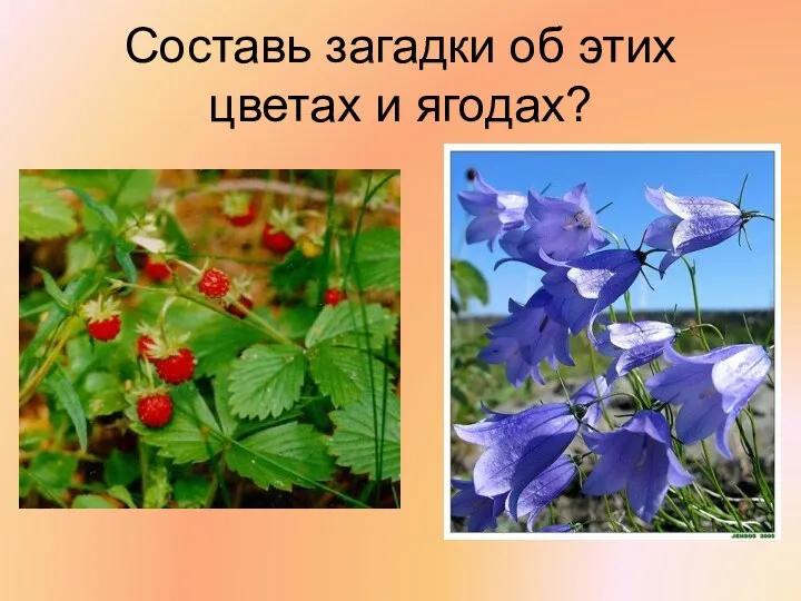 Составь загадки об этих цветах и ягодах?