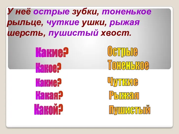 У неё острые зубки, тоненькое рыльце, чуткие ушки, рыжая шерсть,