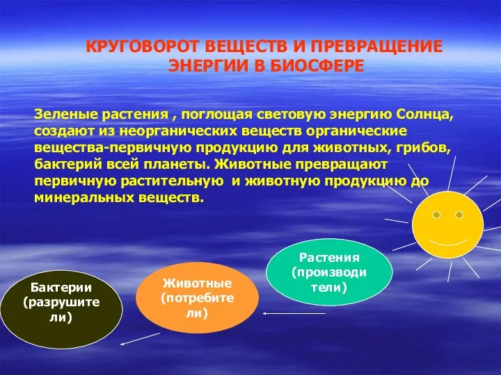 КРУГОВОРОТ ВЕЩЕСТВ И ПРЕВРАЩЕНИЕ ЭНЕРГИИ В БИОСФЕРЕ Зеленые растения ,