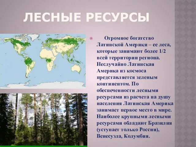 ЛЕСНЫЕ РЕСУРСЫ Огромное богатство Латинской Америки – ее леса, которые