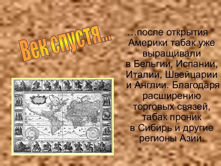 …после открытия Америки табак уже выращивали в Бельгии, Испании, Италии,