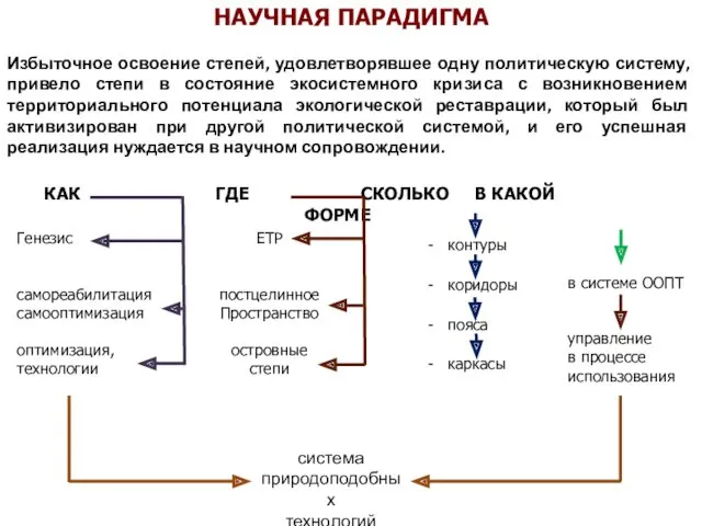 КАК ГДЕ СКОЛЬКО В КАКОЙ ФОРМЕ Генезис самореабилитация самооптимизация оптимизация,