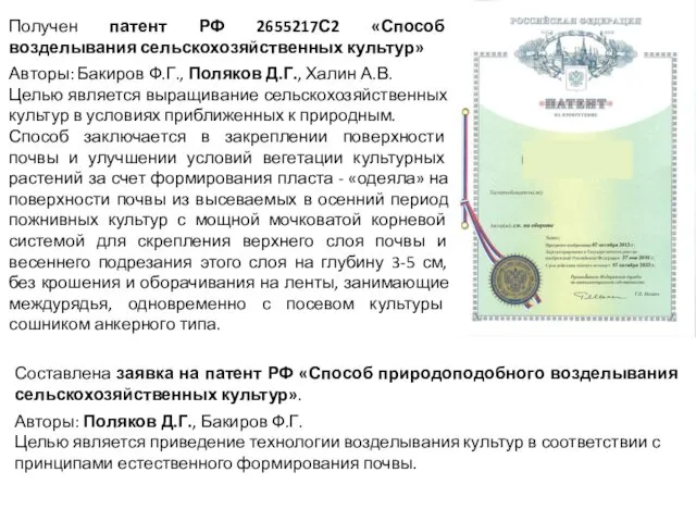 Составлена заявка на патент РФ «Способ природоподобного возделывания сельскохозяйственных культур».