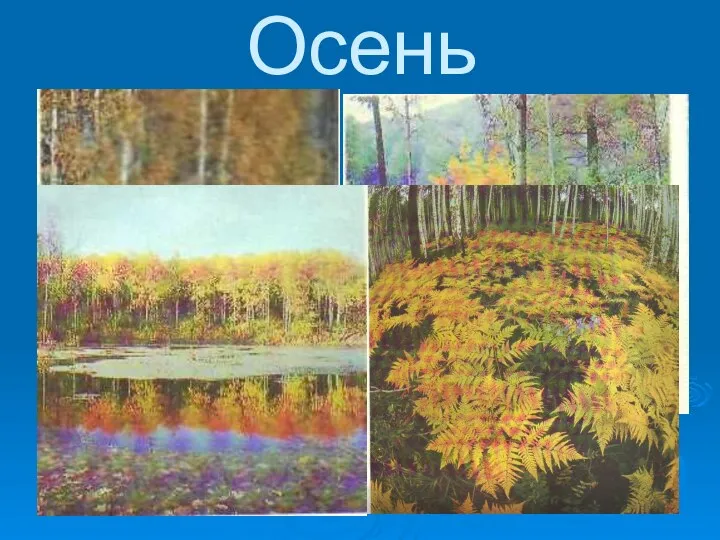 Осень