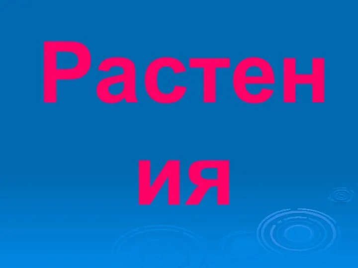 Растения