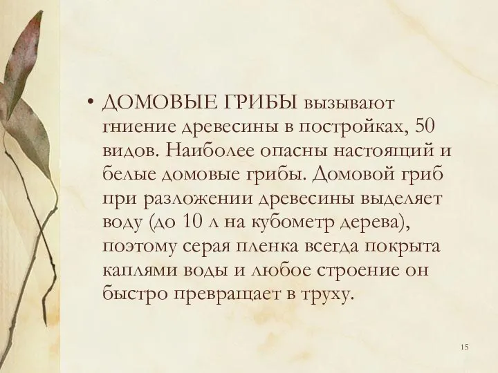 ДОМОВЫЕ ГРИБЫ вызывают гниение древесины в постройках, 50 видов. Наиболее