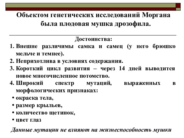 Объектом генетических исследований Моргана была плодовая мушка дрозофила. Достоинства: Внешне