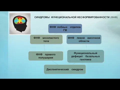 СИНДРОМЫ ФУНКЦИОНАЛЬНОЙ НЕСФОРМИРОВАННОСТИ (ФНФ)