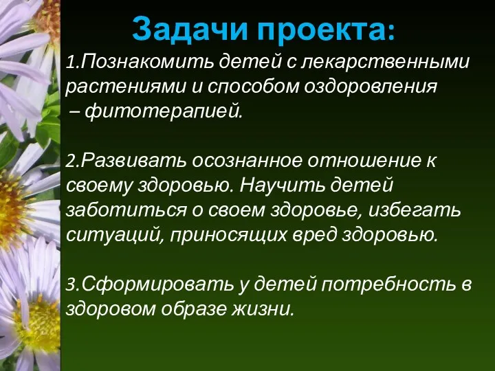 Задачи проекта: 1.Познакомить детей с лекарственными растениями и способом оздоровления – фитотерапией. 2.Развивать