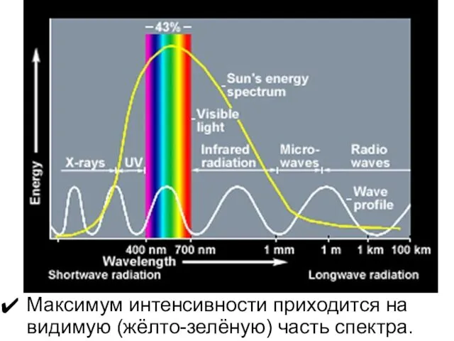 Максимум интенсивности приходится на видимую (жёлто-зелёную) часть спектра.