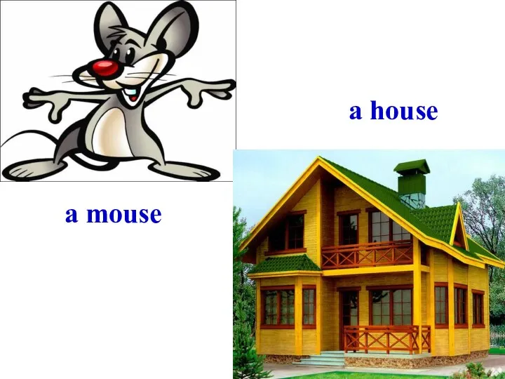 a mouse a house