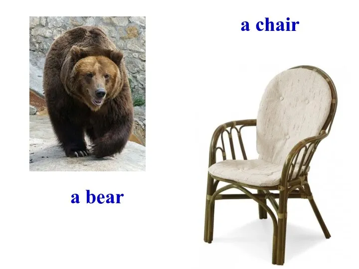 a bear a chair