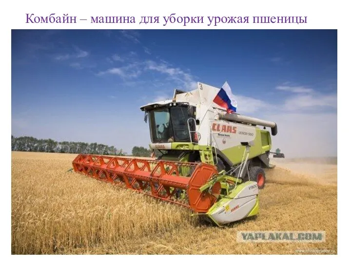 Комбайн – машина для уборки урожая пшеницы