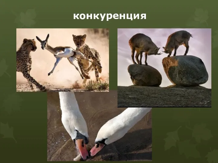 конкуренция