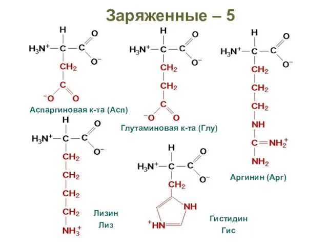 Заряженные – 5