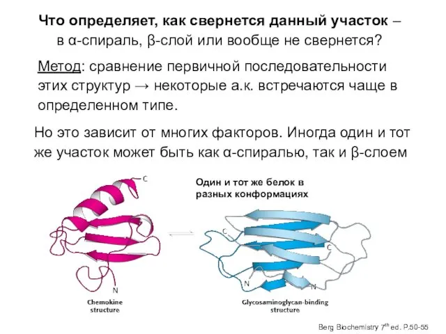 Что определяет, как свернется данный участок – в α-спираль, β-слой или вообще не