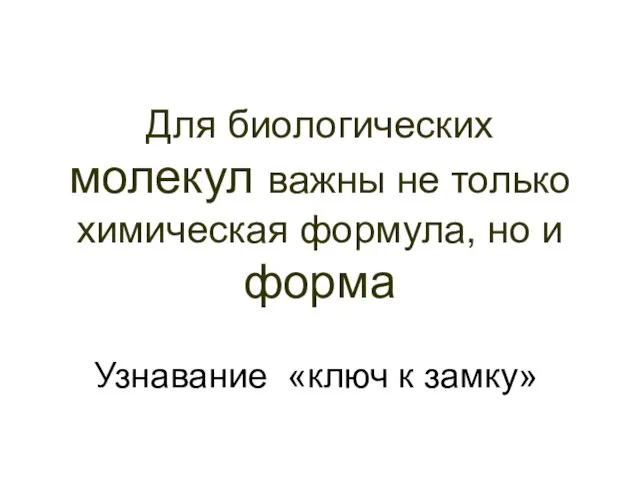 Для биологических молекул важны не только химическая формула, но и форма Узнавание «ключ к замку»