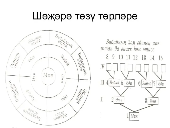 Шәҗәрә төзү төрләре