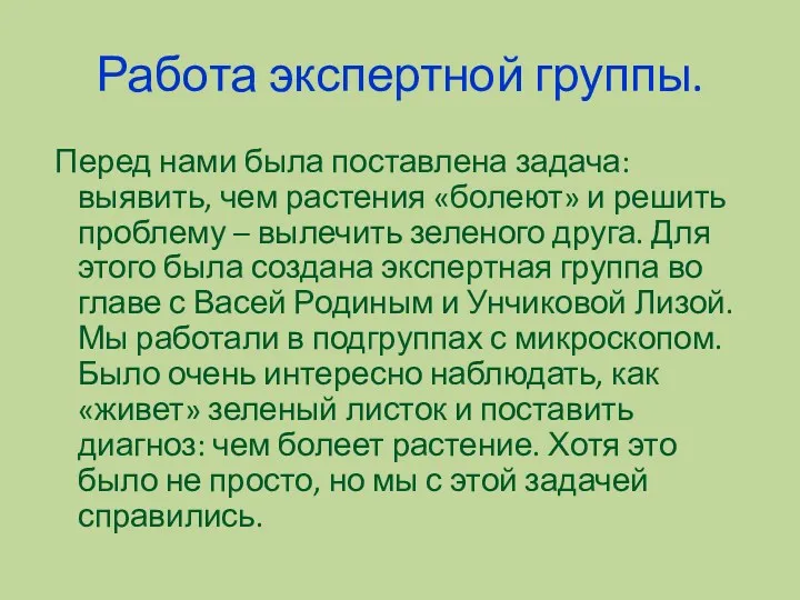 Работа экспертной группы. Перед нами была поставлена задача: выявить, чем