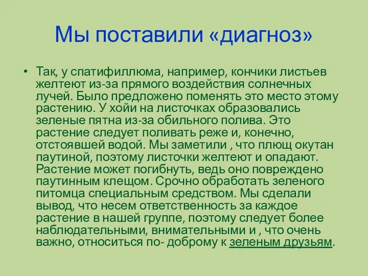 Мы поставили «диагноз» Так, у спатифиллюма, например, кончики листьев желтеют