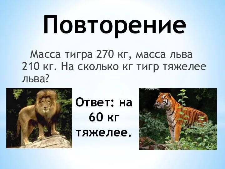 Повторение Масса тигра 270 кг, масса льва 210 кг. На