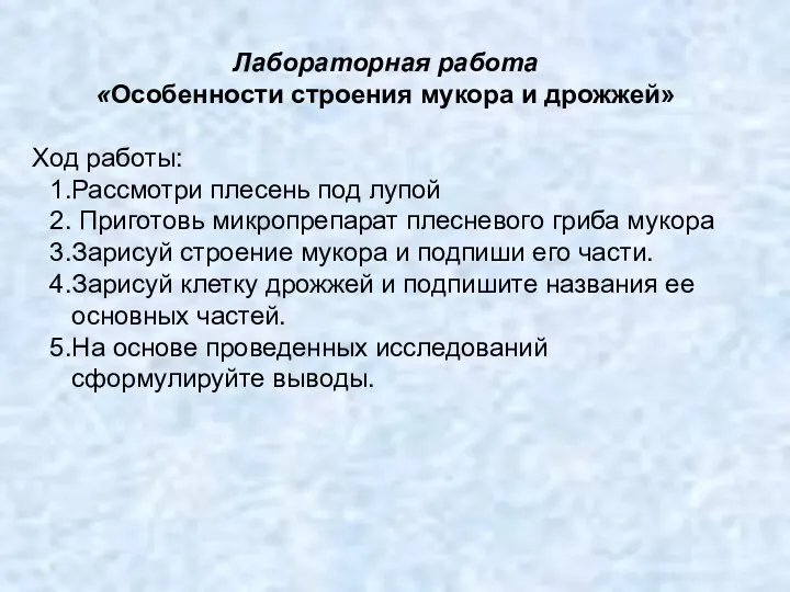 Лабораторная работа «Особенности строения мукора и дрожжей» Ход работы: Рассмотри