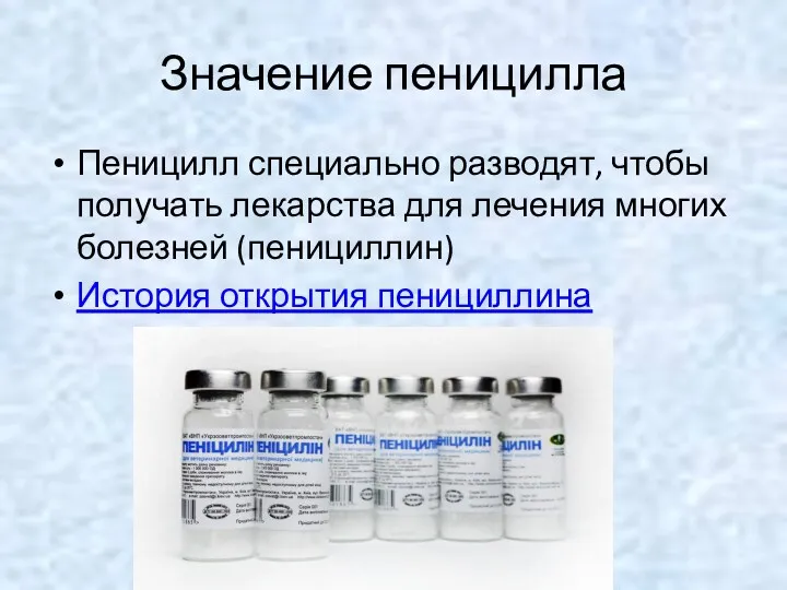 Значение пеницилла Пеницилл специально разводят, чтобы получать лекарства для лечения многих болезней (пенициллин) История открытия пенициллина