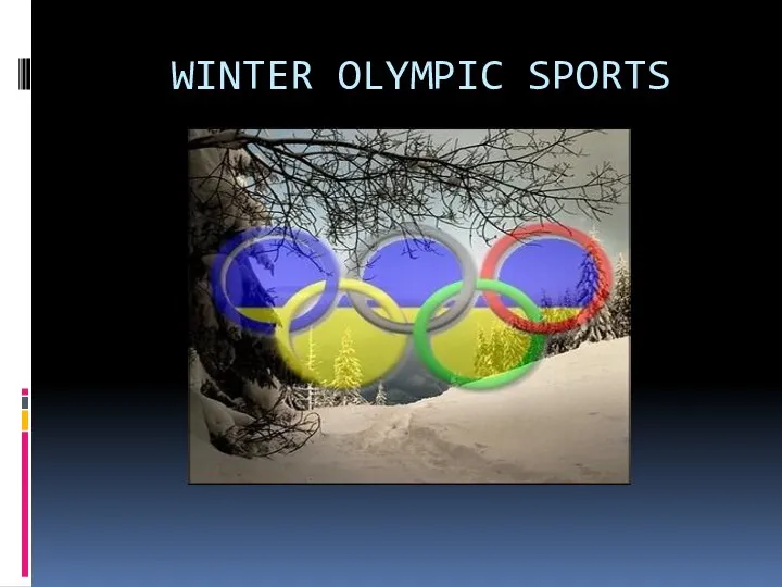 WINTER OLYMPIC SPORTS