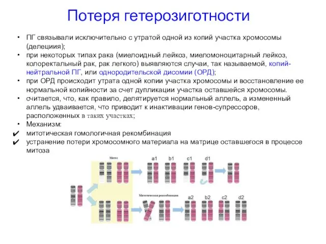 Потеря гетерозиготности ПГ связывали исключительно с утратой одной из копий участка хромосомы (делециия);