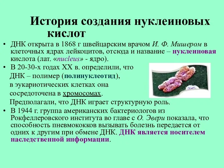 История создания нуклеиновых кислот ДНК открыта в 1868 г швейцарским врачом И. Ф.